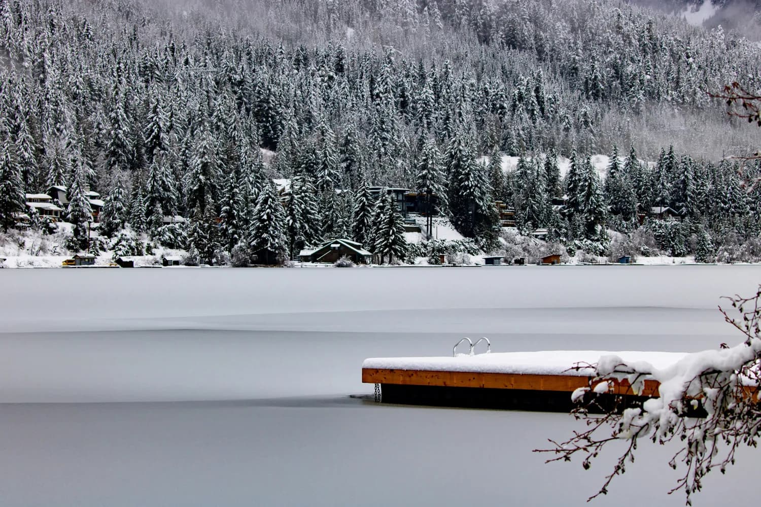 冬日庐山如琴湖：一场冰雪世界的视觉盛宴