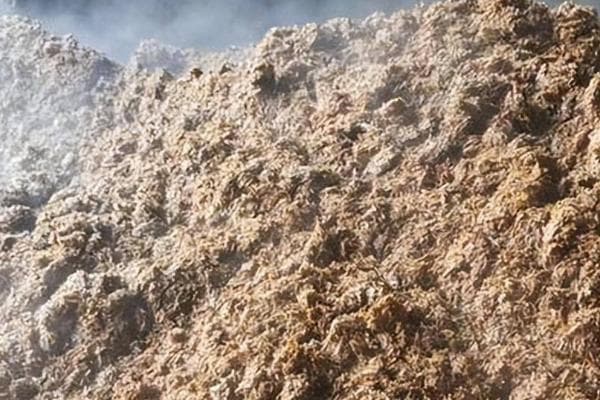 饼肥的发酵方法及使用指南：从单一发酵到催化发酵的全过程