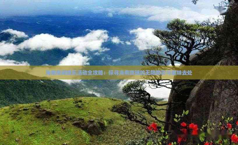 海南夜间娱乐活动全攻略：探寻海南夜晚的无限精彩与趣味去处