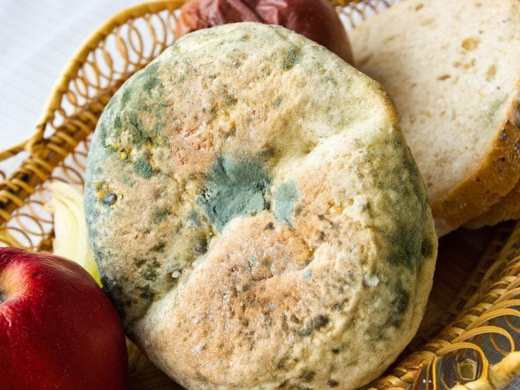 想守护饮食安全？掌握正确剩菜剩饭储存法！