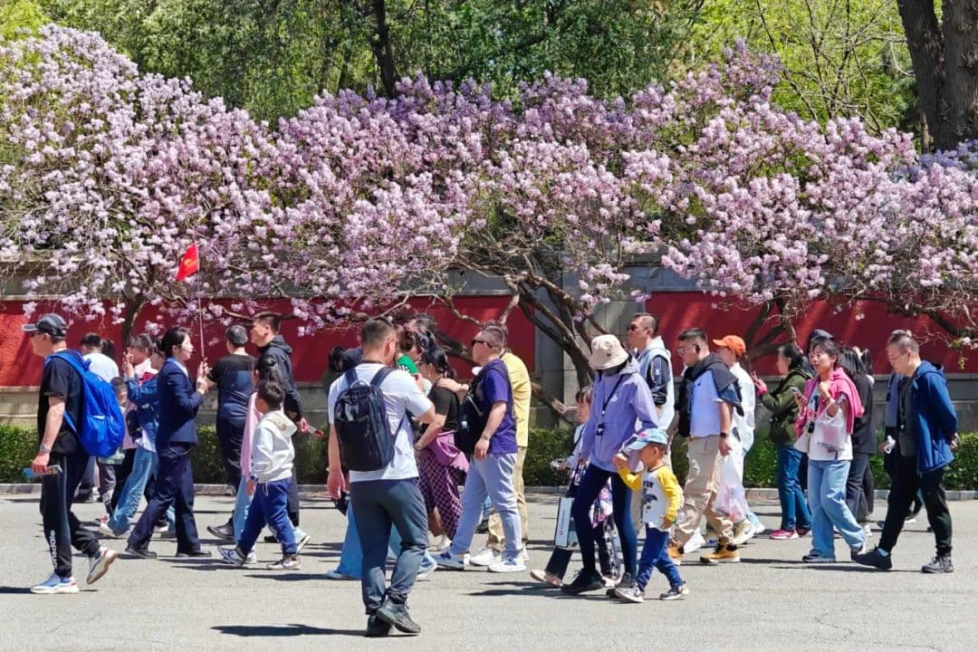 为啥这届年轻人都想去长春？这个五一假期我悟了