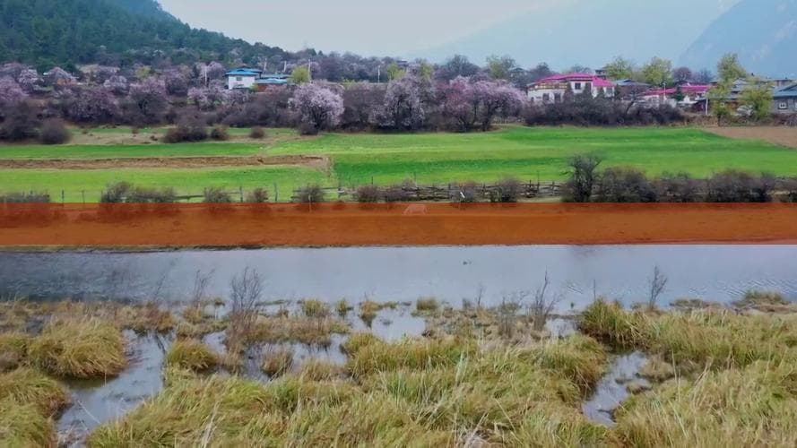 亚龙湾旅游全方位交通指南：最新路线、建议与实用贴士