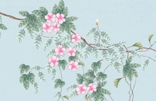 属鼠的今年多少岁？详解属鼠年龄计算方法