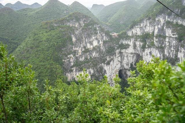 探索大石围天坑：一场震撼心灵的自然奇迹之旅