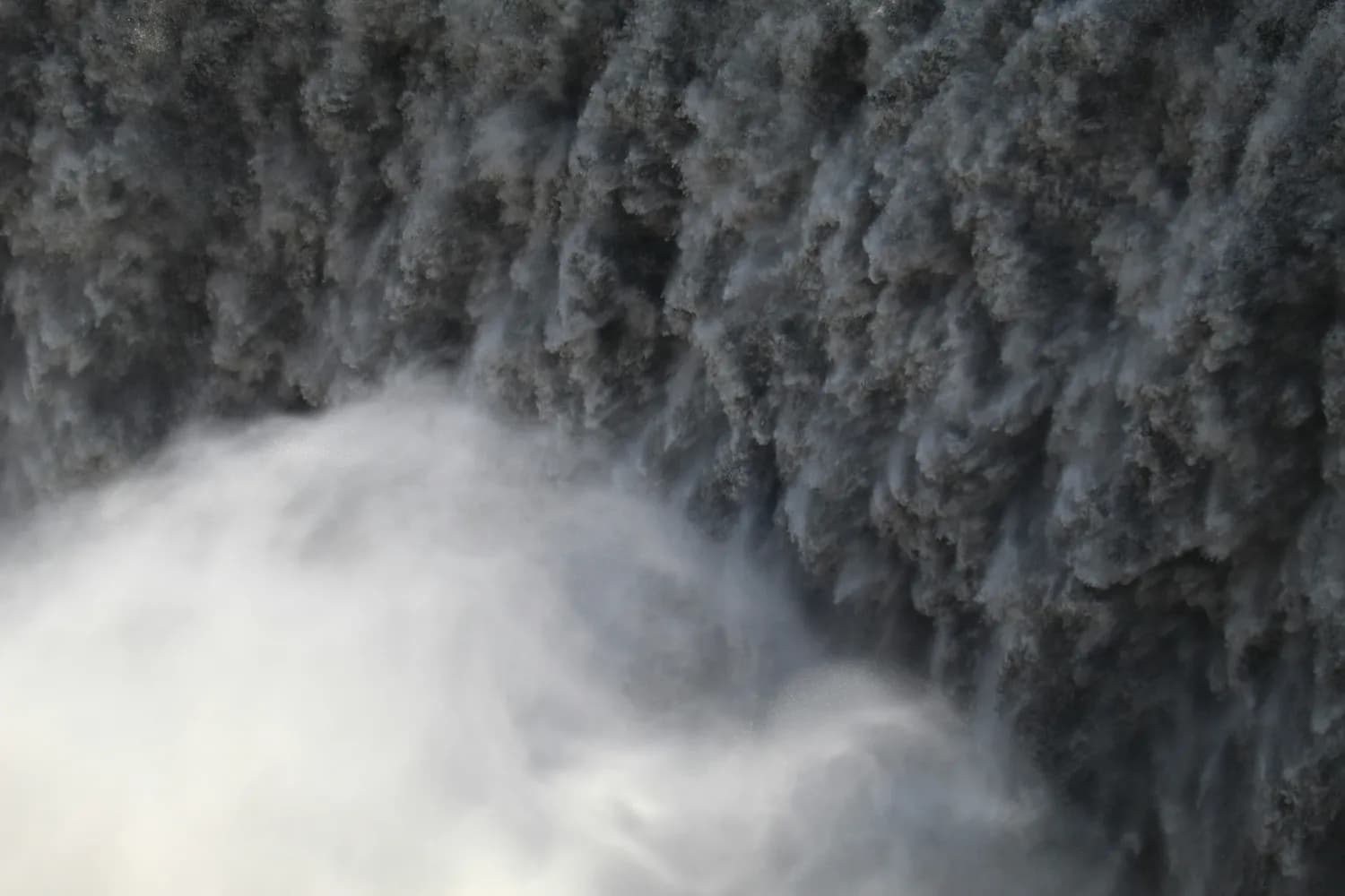 福岛核污染水排海，海洋生物遭殃