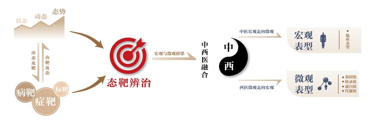 态靶辨治为中医诊疗装上“北斗”