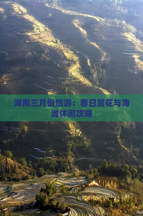 海南三月份旅游：春日赏花与海滩休闲攻略