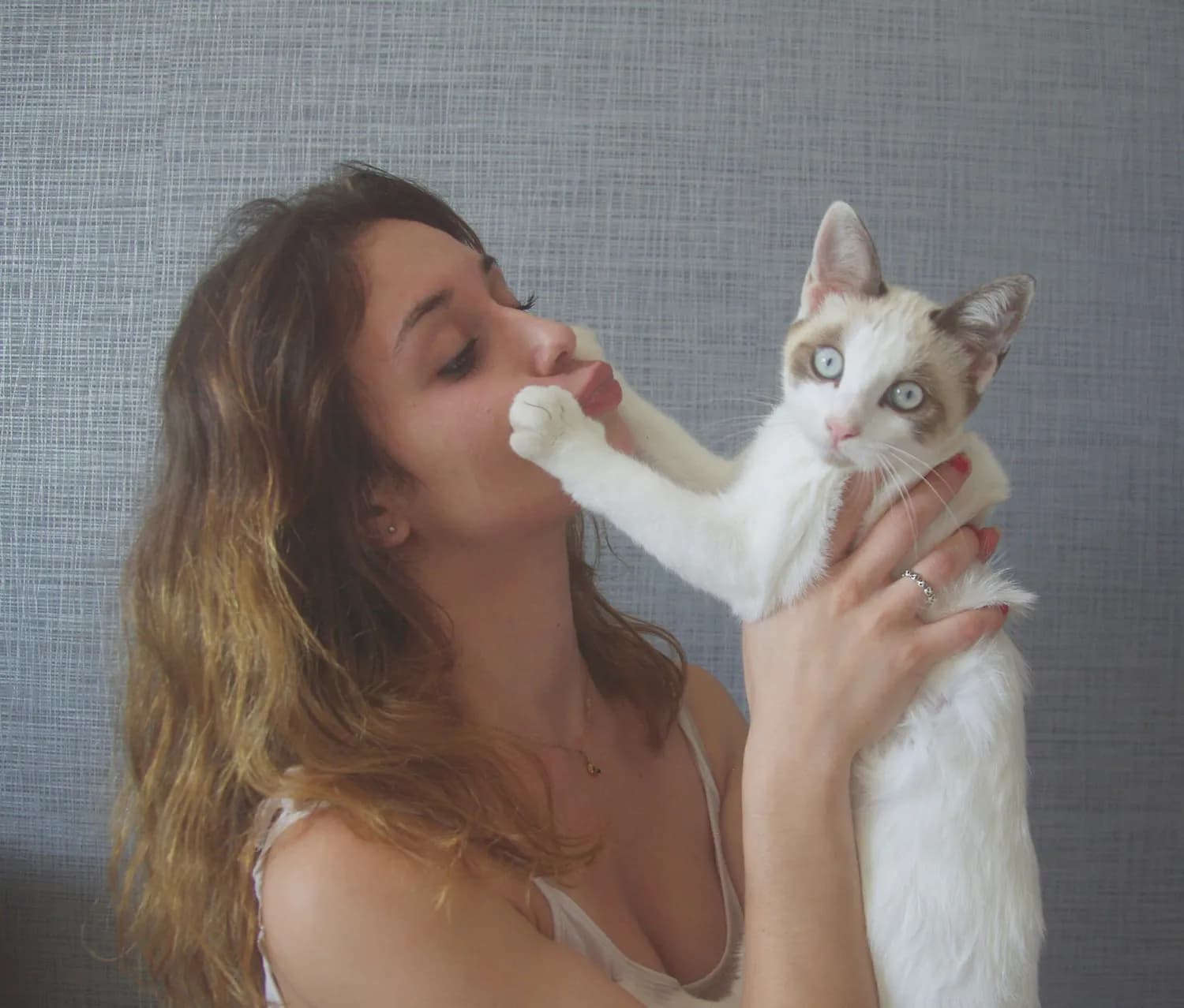 普安特费洛蒙喷雾，猫咪心理舒缓神器？