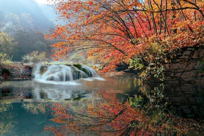 重庆万盛黑山谷：自然之美，宁静之旅