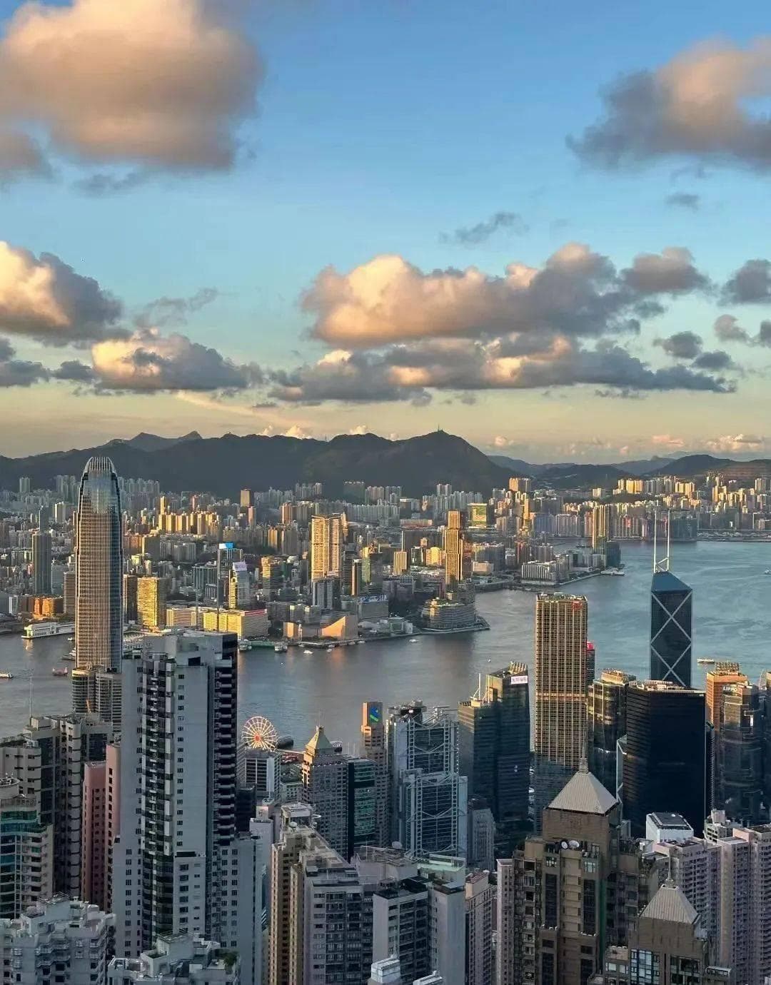 这届年轻人喜欢“深度游”香港