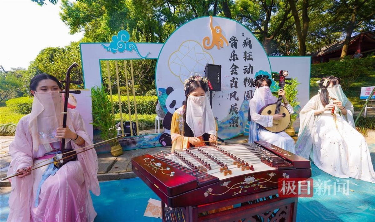 武汉动物园焕新上线一周年，游客带娃围观“动物是怎样带娃的”
