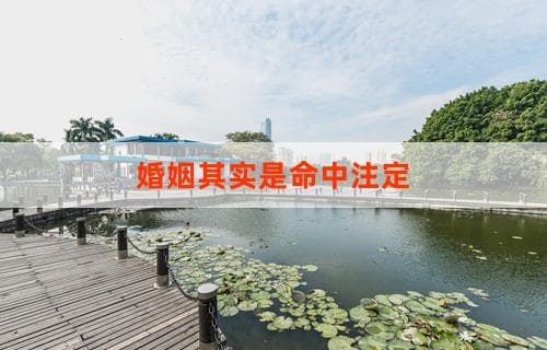 婚姻其实是命中注定：探寻爱情与命运之间的微妙联系