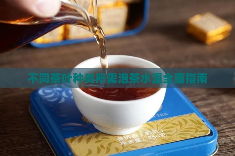 不同茶叶种类所需泡茶水温全面指南
