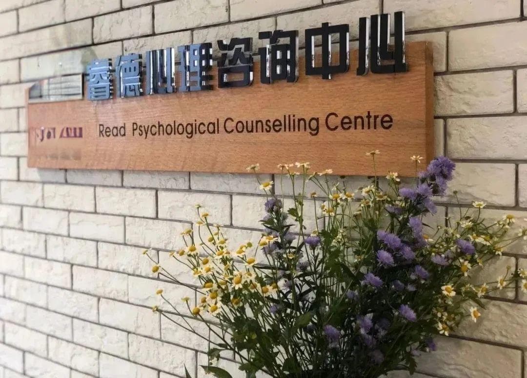 春节社交压力大？这份心理调适指南请收好