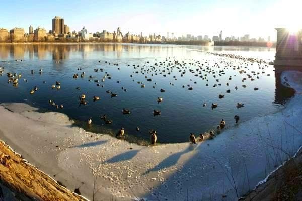 如何选择适合自己的手表：价格、品牌与使用场景全解析