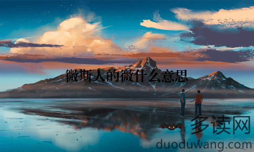 微斯人的微什么意思