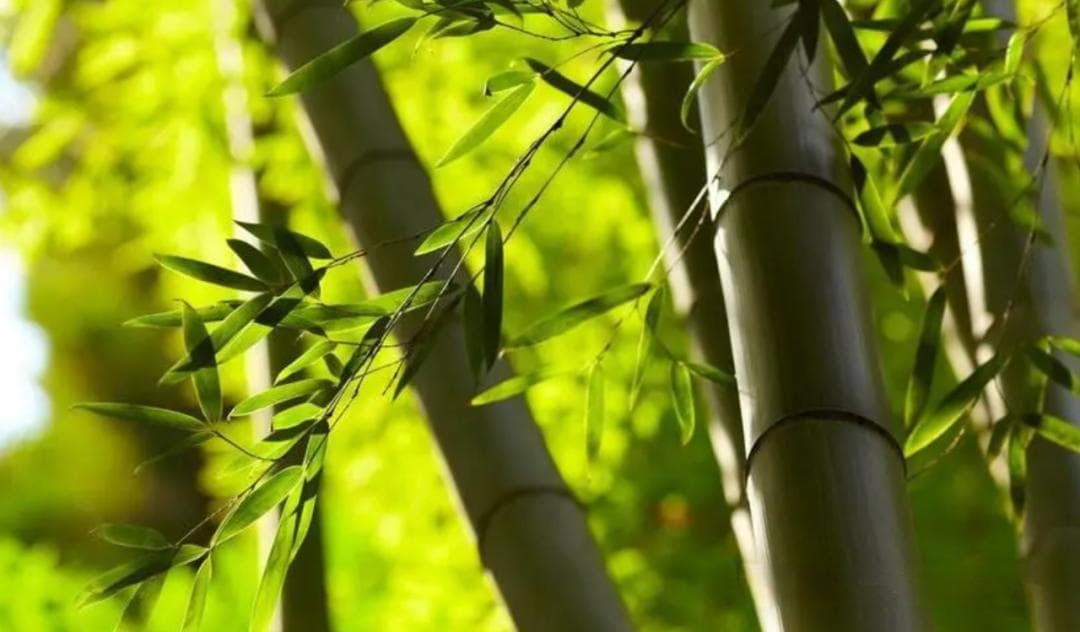 渐行渐远渐无书，水阔鱼沉何处问。