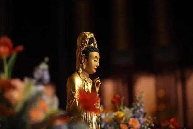 佛法之总纲：四念处的修行智慧