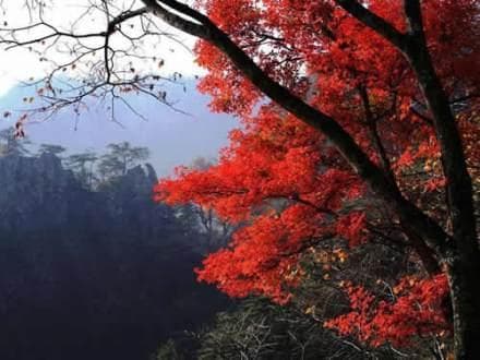 尧山：河南鲁山的自然与人文瑰宝