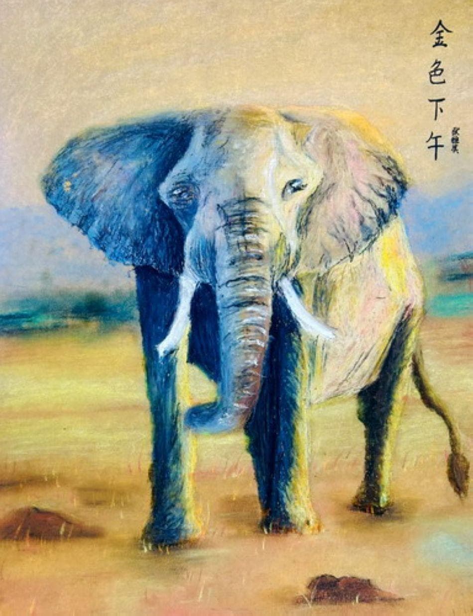 美育就是让孩子敢想敢画