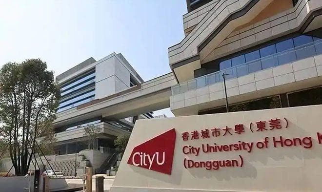 心理学硕士为何如此火爆？六大原因深度解析