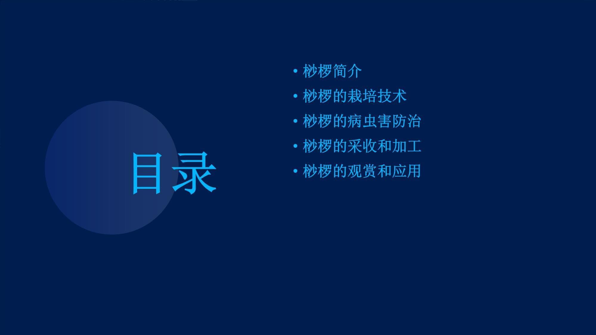 桫椤栽培技术详解