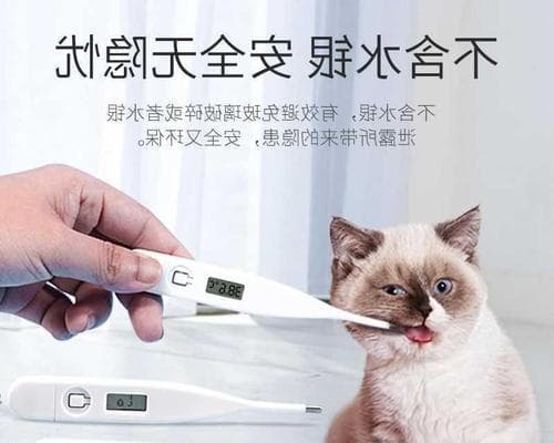小狗测量体温的方法是什么？如何正确操作？