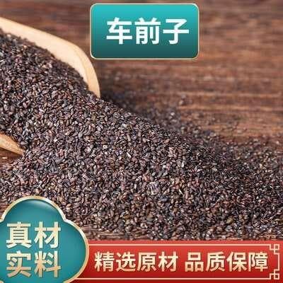 车前子的功效与应用