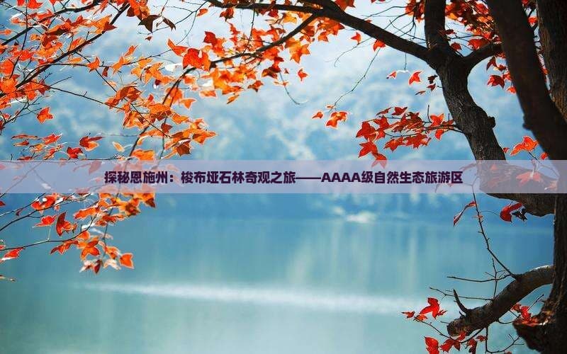 探秘恩施州：梭布垭石林奇观之旅——AAAA级自然生态旅游区