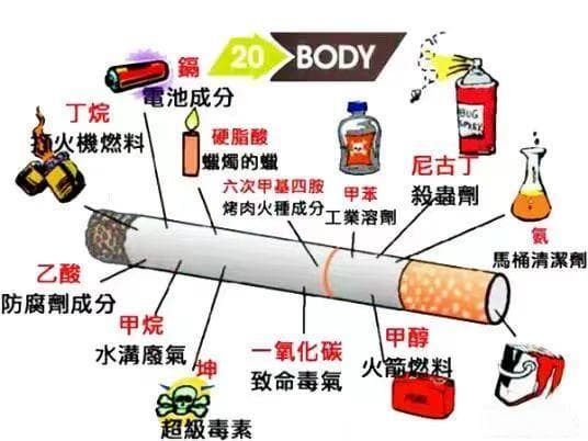 带你了解禁烟控烟小知识