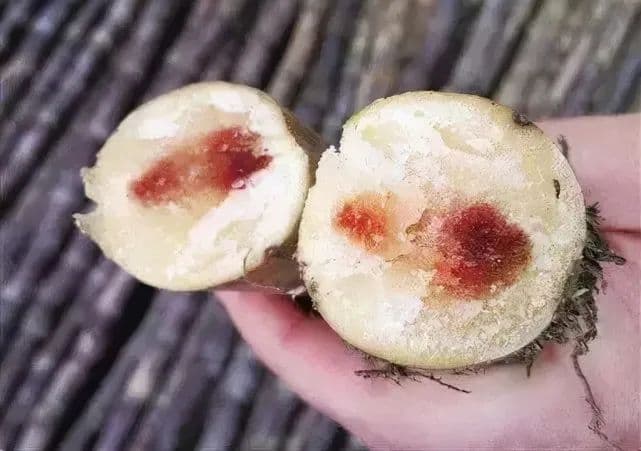 “清明蔗，毒过蛇”？教你辨别霉变甘蔗，安全食用有讲究