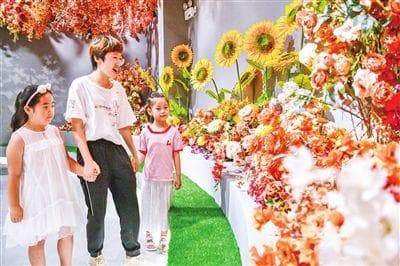 天津市武清区推动传统产业转型升级 打造特色优势轻工产业