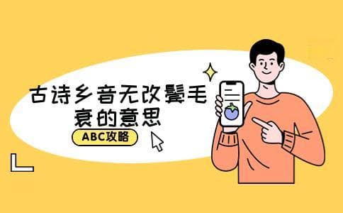 古诗乡音无改鬓毛衰的意思