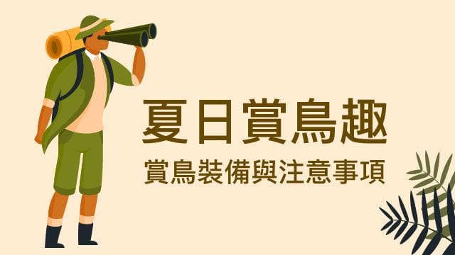 夏日赏鸟指南：必备装备与注意事项