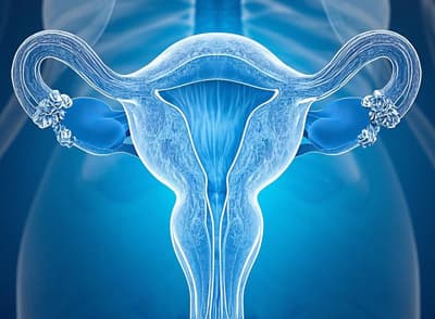 女性小腹总隐隐作痛 到底是身体哪里出了大问题