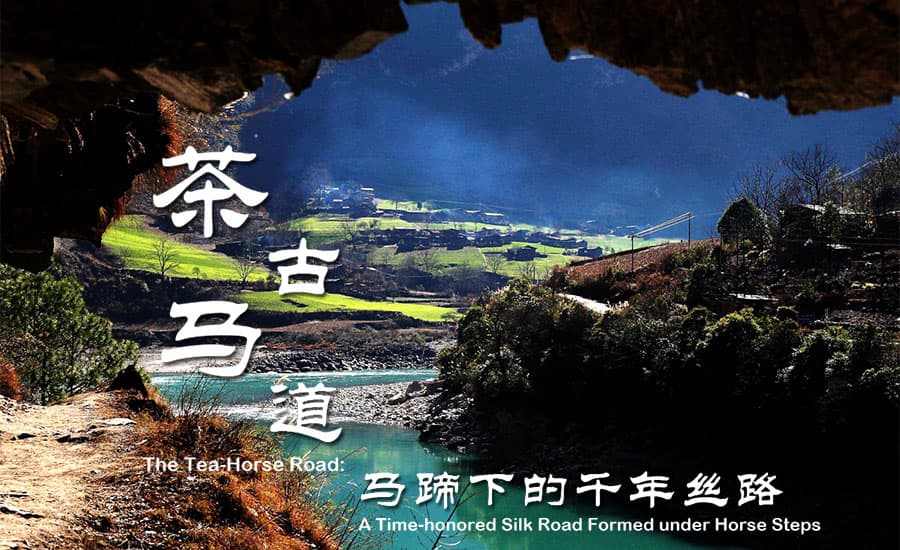 茶马古道：马蹄下的千年丝路