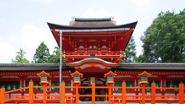 春日大社一日参拜计划！鹿群、鹿御守、紫藤花都别错过