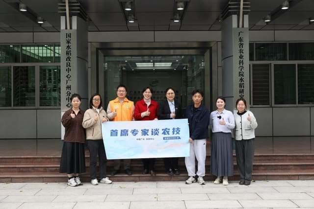 首席专家详解水稻春耕技术：从选种到插秧全程护航