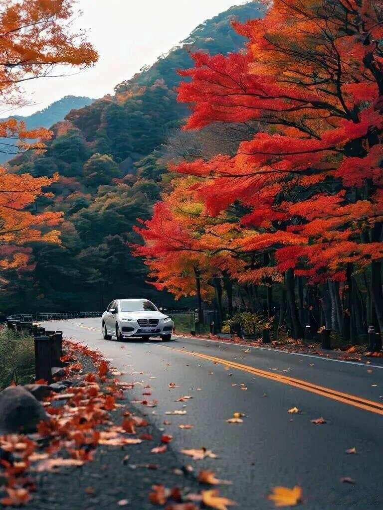 九个绝美诗句，带你感受秋意浓浓