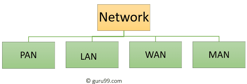 计算机网络的类型：什么是 LAN、MAN 和 WAN