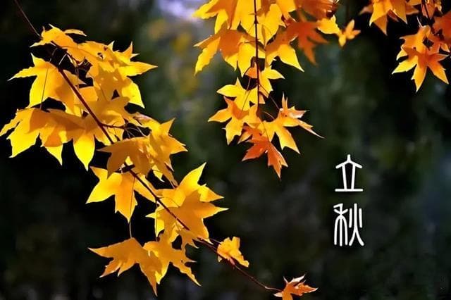立秋后妇科炎症最怕这5种“天然食材”，每天吃一点，温阳补气血