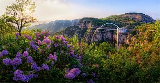 何以淄味 | 花开花谢皆为你，怎能不来淄川赴约呢