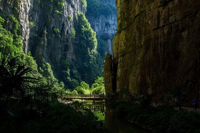 武隆天坑旅游攻略：世界最大天生桥群深度游览指南