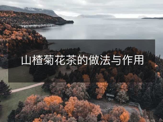 山楂菊花茶的做法与作用