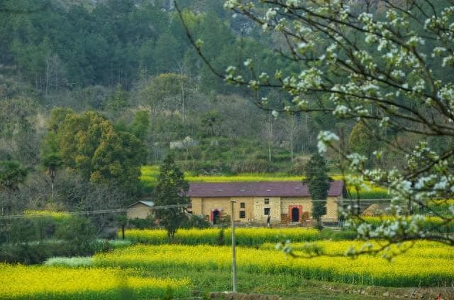 2025年雨水节气：60年一遇的三大特点及应对指南