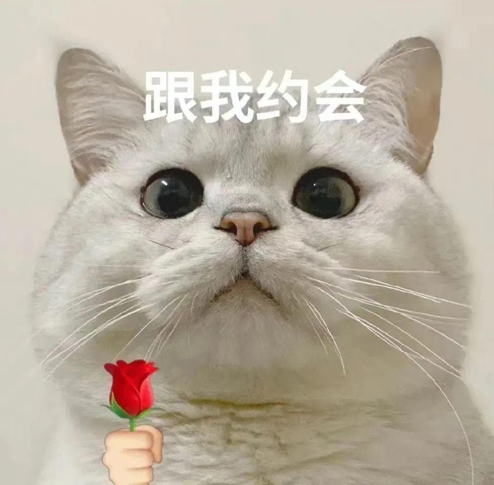 “科学表白”方法赶紧学起来！ChatGPT居然给出了这种建议
