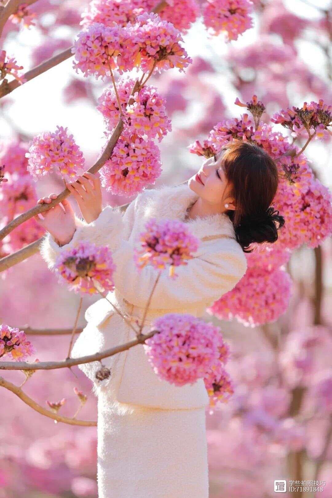 春天拍花指南：9种高级姿势让你与花完美合拍