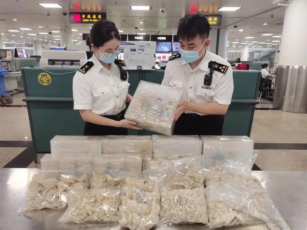 厦门海关发布暑期跨境游购物携带入境指南
