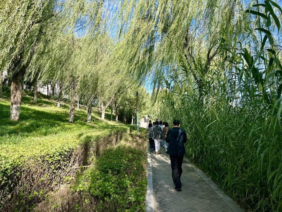 自行车博物馆、鲁能生态旅游区、中国红木城……记者探访河北廊坊文旅新场景、新业态