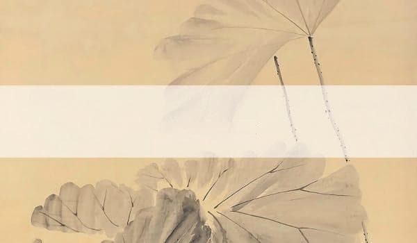 三会木局的定义与影响